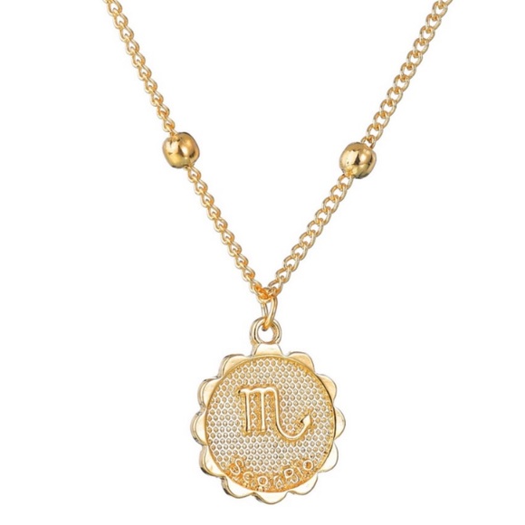 Scorpio Zodiac Coin Necklace - Picture 2 of 8
